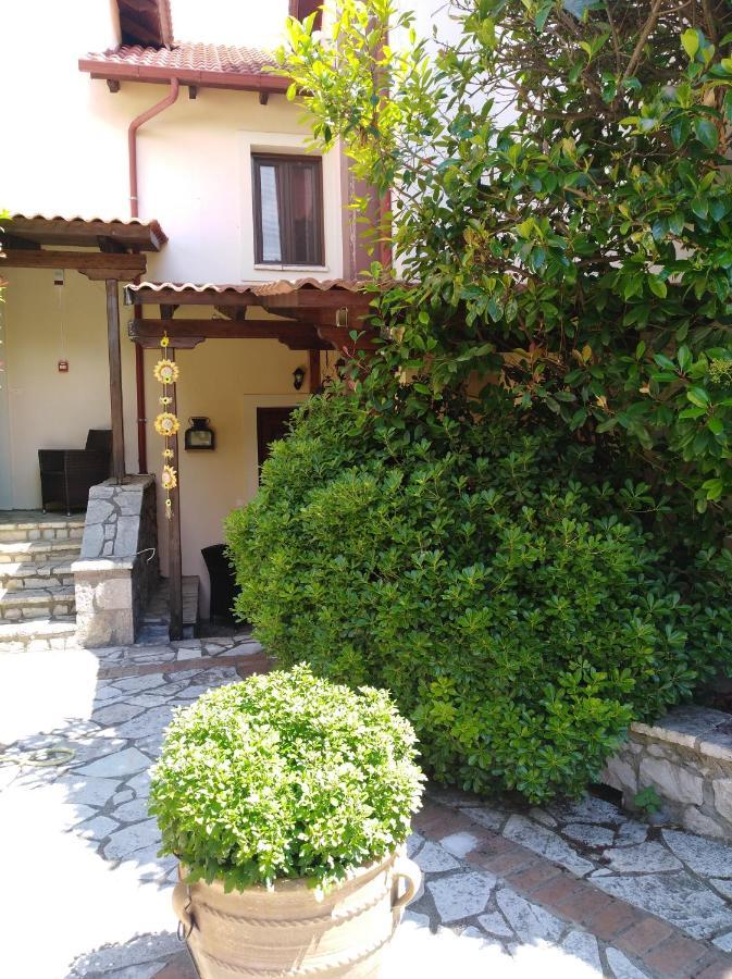 Apartment Dryas